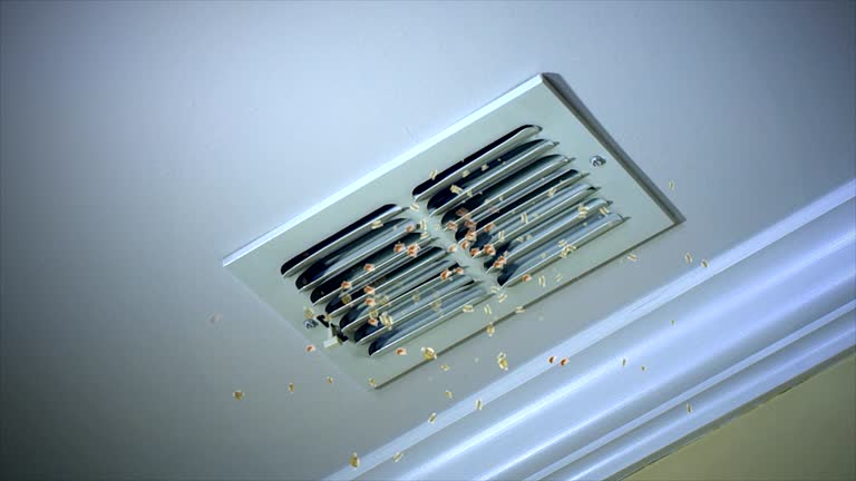 Best Dryer Vent Cleaning Services  in Hebron, IL