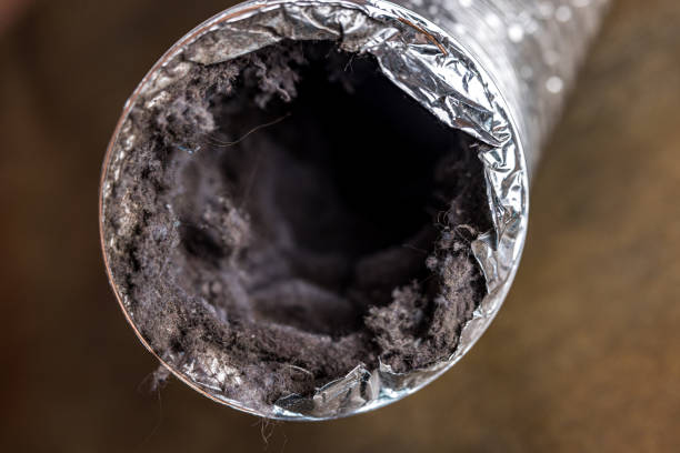 Best HVAC Duct Inspection Services  in Hebron, IL